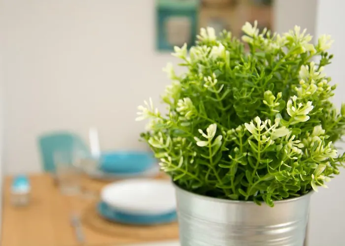 Casa Maui Ла-Олива